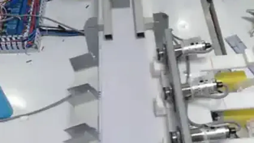 Conveyor Sorting System for Bar Soap