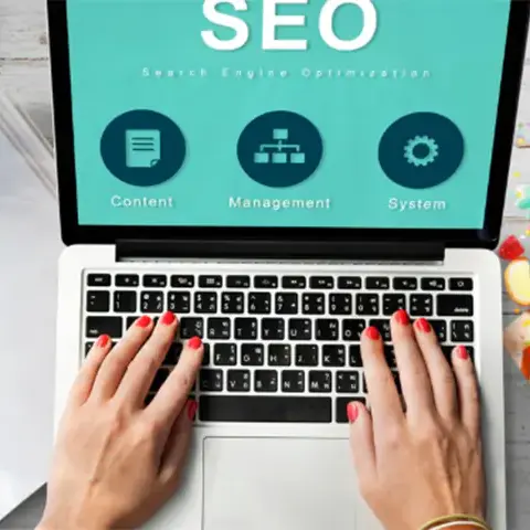Professional SEO Solutions for Sustainable Digital Growth