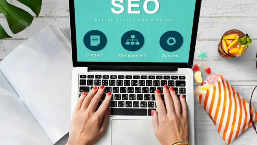 Professional SEO Solutions for Sustainable Digital Growth