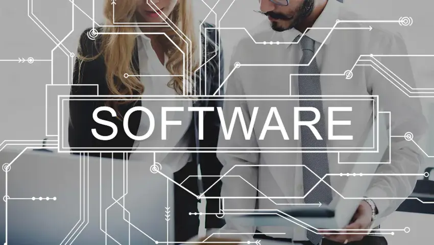 Professional Software Development for Digital Transformation