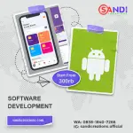 Software Development (Express Package)